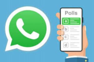 Pentingnya Polling di Grup WhatsApp